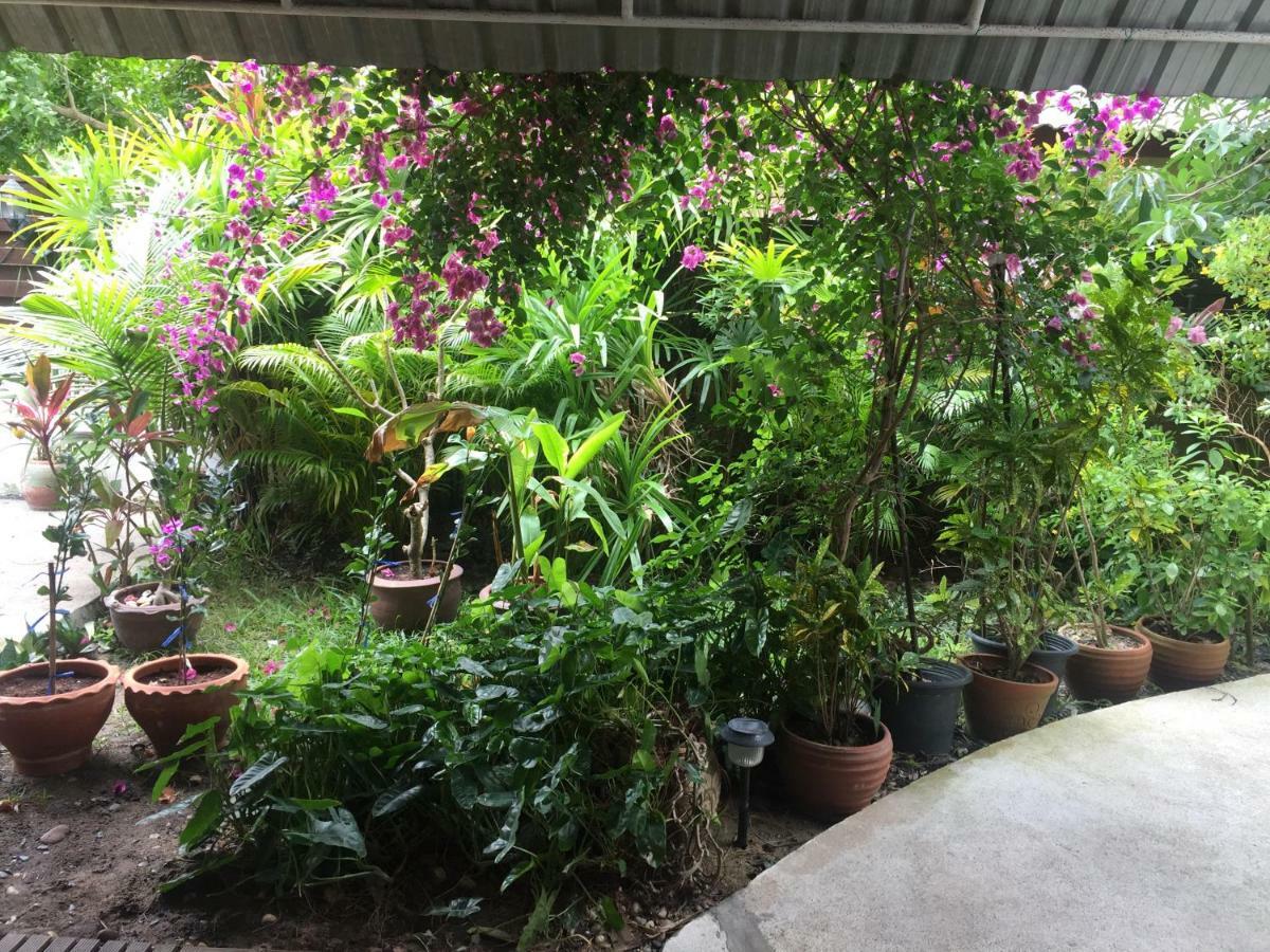 苏梅岛柠檬屋酒店 湄南海滩 外观 照片