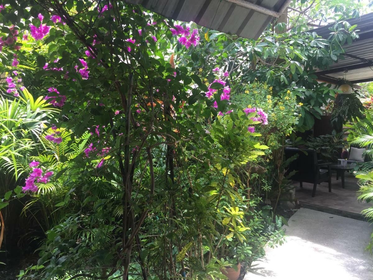苏梅岛柠檬屋酒店 湄南海滩 外观 照片