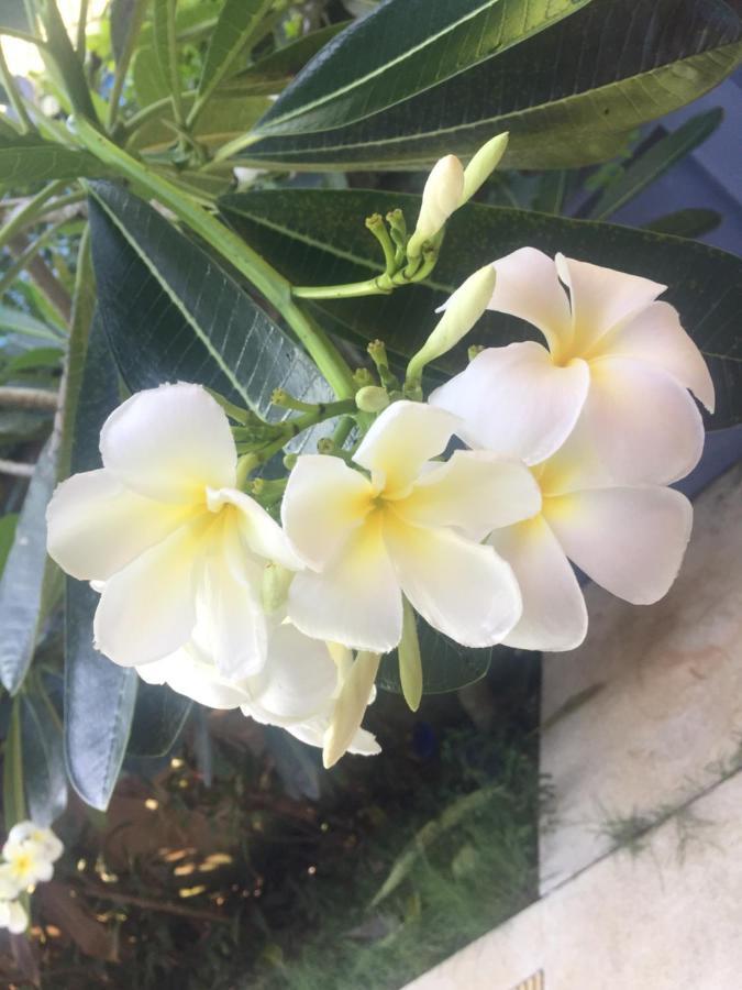 苏梅岛柠檬屋酒店 湄南海滩 外观 照片